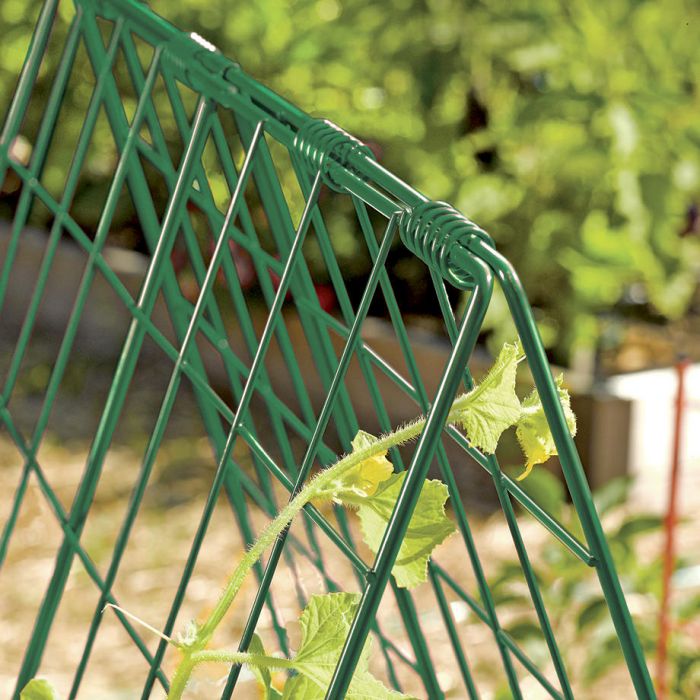 Metal Garden Trellises Canada Garden Design Ideas
